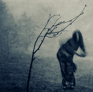 cropped-captura-de-pantalla-2017-11-16-a-las-18-29-31