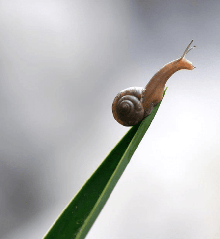 Captura de pantalla 2018-02-03 a las 20.12.05