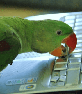 Captura de pantalla 2019-12-06 a las 22.32.09