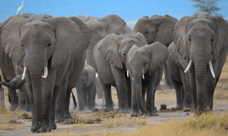 Captura de pantalla 2020-03-23 a las 22.00.20